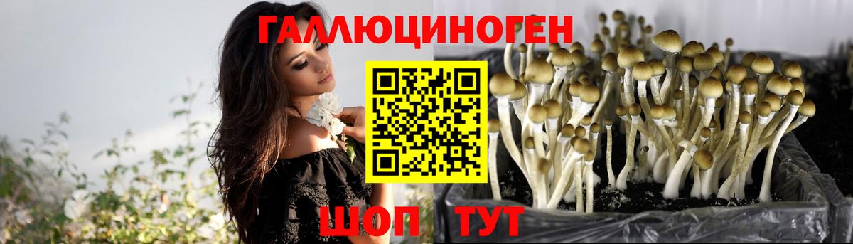 Псилоцибиновые грибы Cubensis  Галлюциногенные грибы Psilocybine cubensis  Красноармейск  Вход с VPN 
